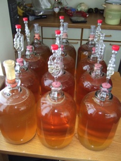 Fermenting the cider